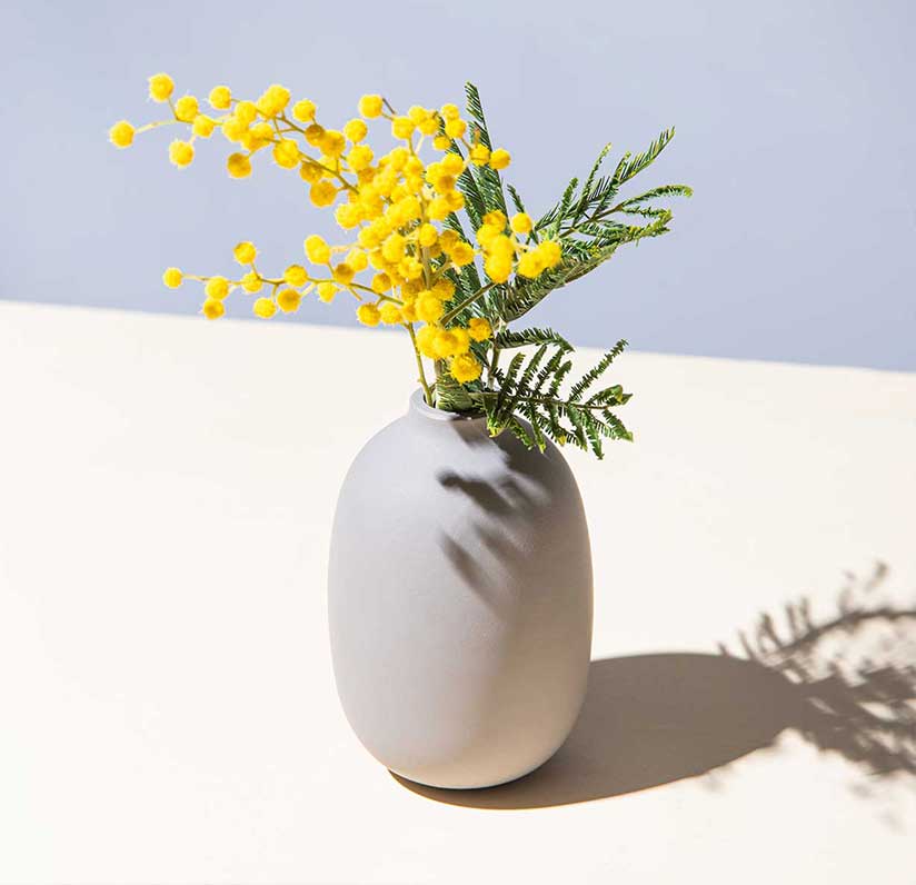 Eco-friendly house cleaning service in Coral Springs FL - City House Cleaners using green products